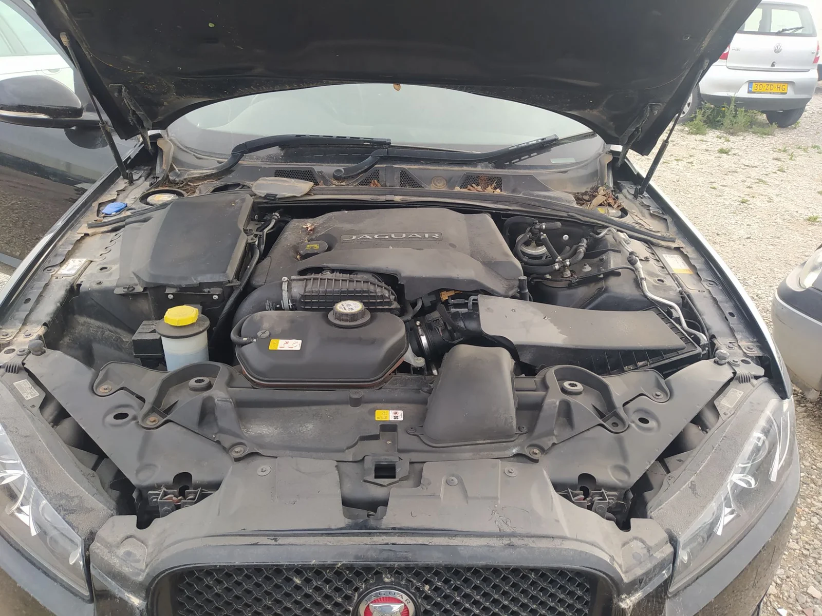 Foto de TUBO JAGUAR XF 3.0 V6 Diesel CAT (241 CV / 177 KW)
