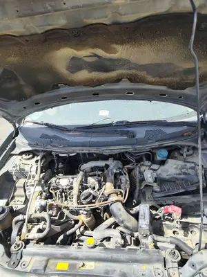 Foto de TORPEDO NISSAN PRIMERA BERLINA (P12) 1.9 16V Turbodiesel CAT (120 CV / 88 KW)