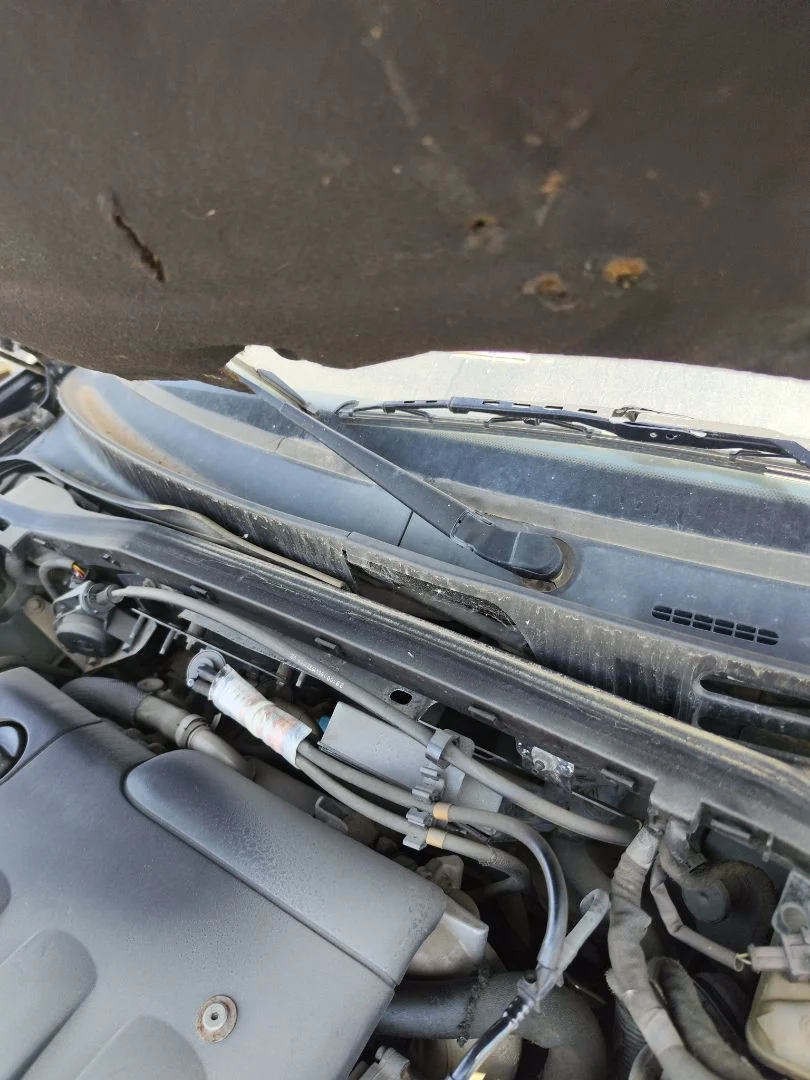 Foto de BRAZO LIMPIA DELANTERO DERECHO CITROEN XSARA BERLINA 2.0 HDi CAT (RHY / DW10TD) (90 CV / 66 KW)