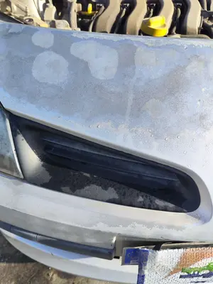 Foto de REJILLA DELANTERA RENAULT CLIO III 1.4 16V (98 CV / 72 KW) foto 2