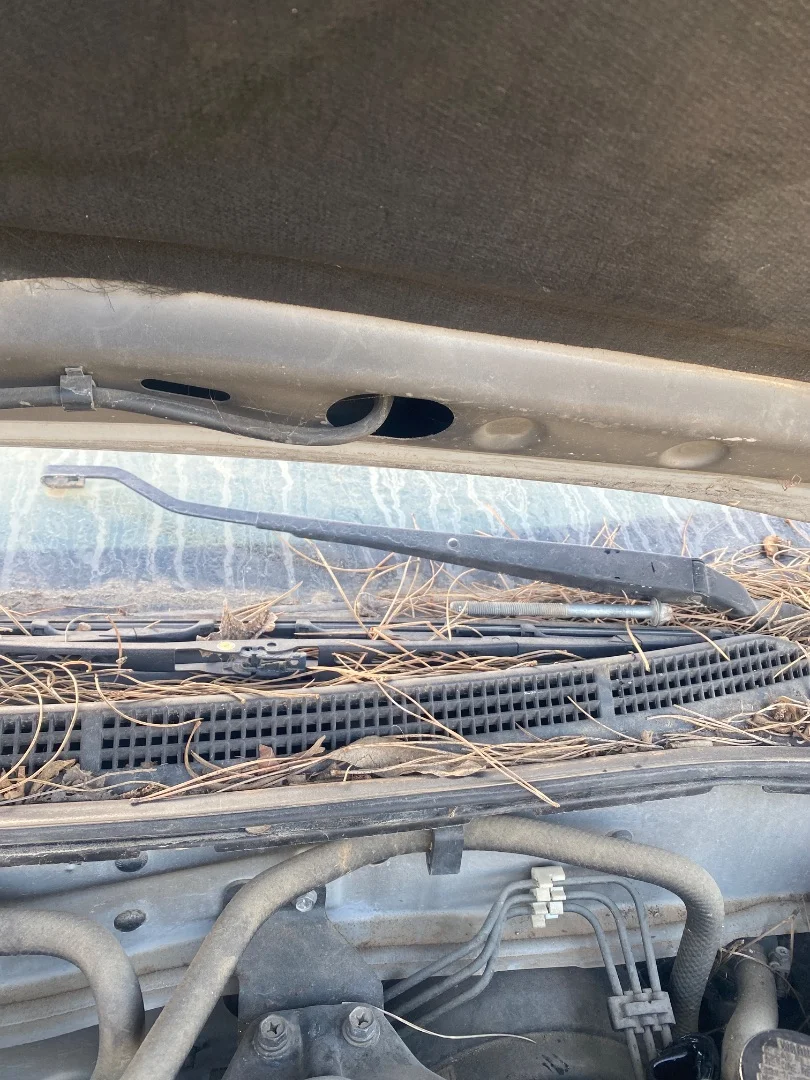 Foto de BRAZO LIMPIA DELANTERO DERECHO NISSAN ALMERA (N15) 2.0 Diesel (75 CV / 55 KW)