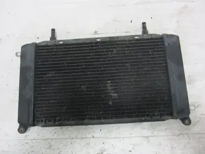 Foto de RADIADOR AGUA JAGUAR XJ 4.0 CAT (320 CV / 235 KW) referencia CCC5918