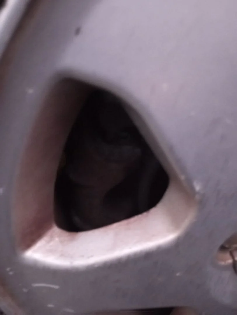 Foto de PINZA DE FRENO TRASERA DERECHA OPEL ZAFIRA A 2.0 DTI (101 CV / 74 KW)