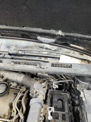 Foto de BRAZO LIMPIA DELANTERO IZQUIERDO VOLKSWAGEN GOLF PLUS V (5M1) 1.9 TDI (105 CV / 77 KW)