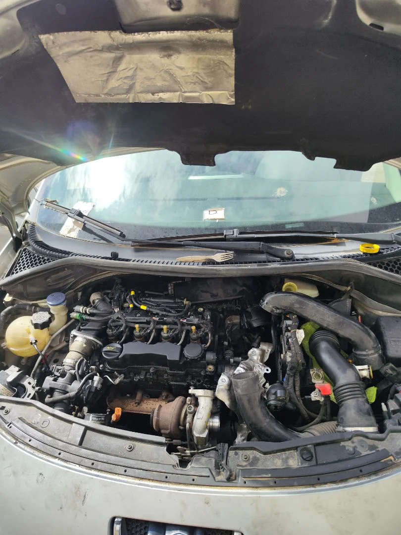 Foto de TORPEDO PEUGEOT 207 1.6 16V HDi (90 CV / 66 KW)