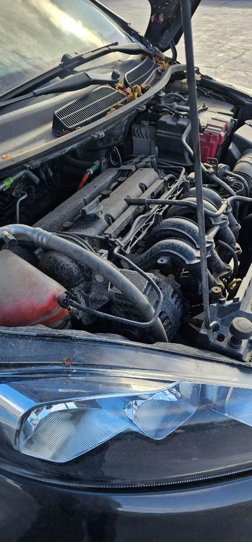 Foto de BIELETA ESTABILIZADORA DELANTERA DERECHA FORD FIESTA (CNN) 1.25 16V CAT (82 CV / 60 KW)