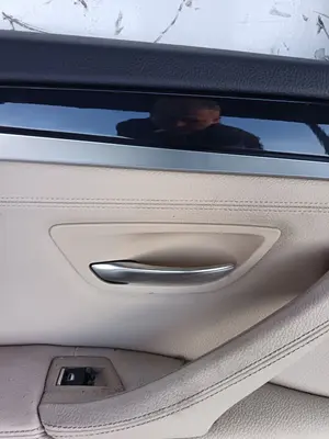 Foto de MANETA INTERIOR TRASERA IZQUIERDA BMW SERIE 5 TOURING (F11) 2.0 Turbodiesel (218 CV / 160 KW)