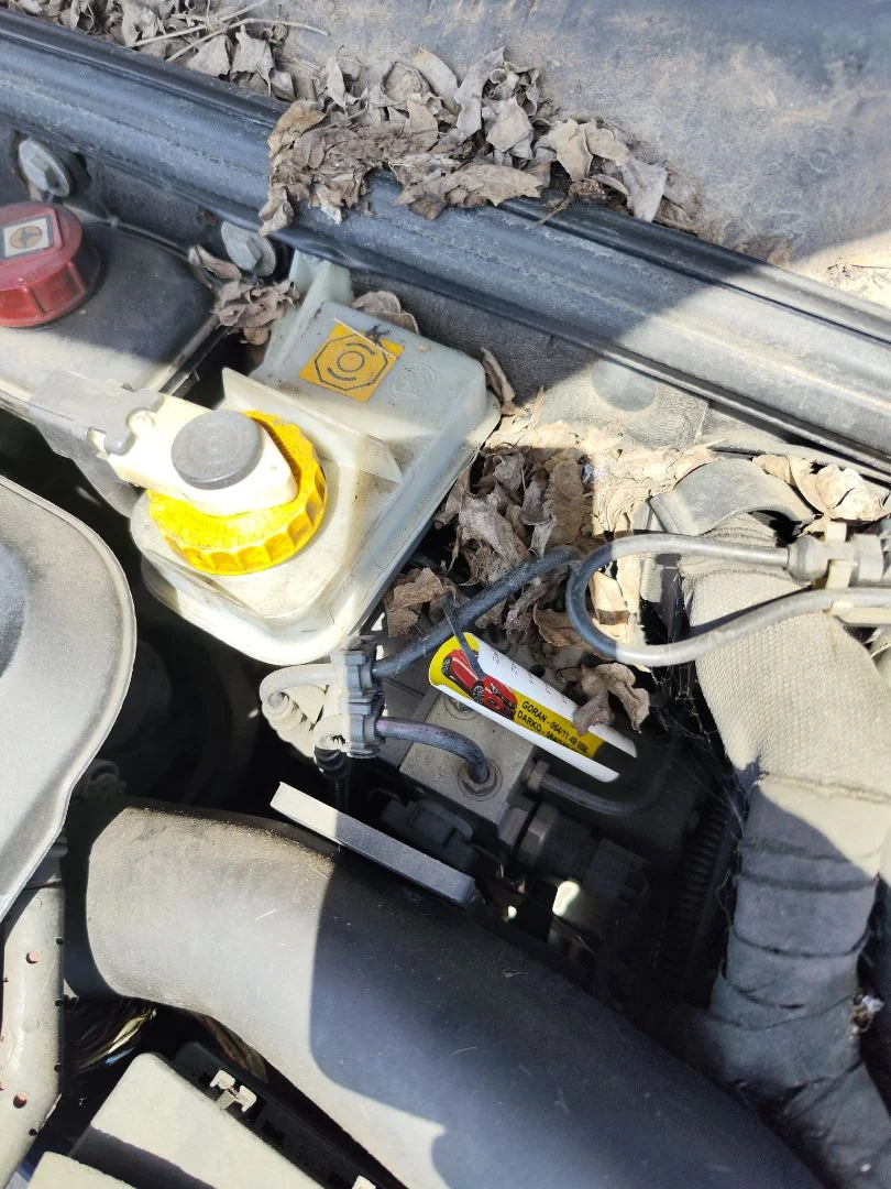 Foto de SERVOFRENO ALFA ROMEO 156 SPORTWAGON 2.4 JTD CAT (175 CV / 129 KW) referencia 0009949654