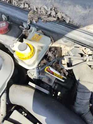 Foto de SERVOFRENO ALFA ROMEO 156 SPORTWAGON 2.4 JTD CAT (175 CV / 129 KW) referencia 0009949654