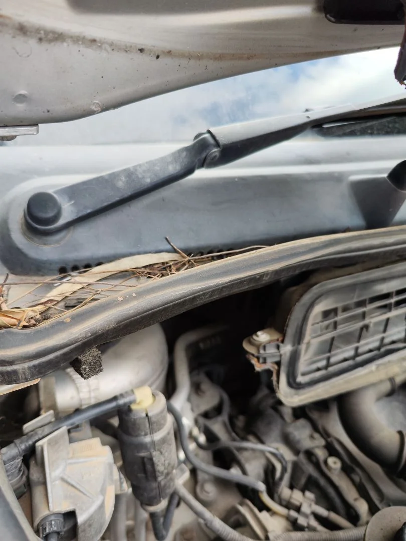 Foto de BRAZO LIMPIA DELANTERO DERECHO OPEL VIVARO FURGÓN/COMBI 2.0 16V CDTI (114 CV / 84 KW)