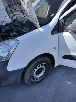 Foto de ALETA DELANTERA IZQUIERDA CITROEN BERLINGO FURGÓN 1.6 Blue-HDI FAP (99 CV / 73 KW)