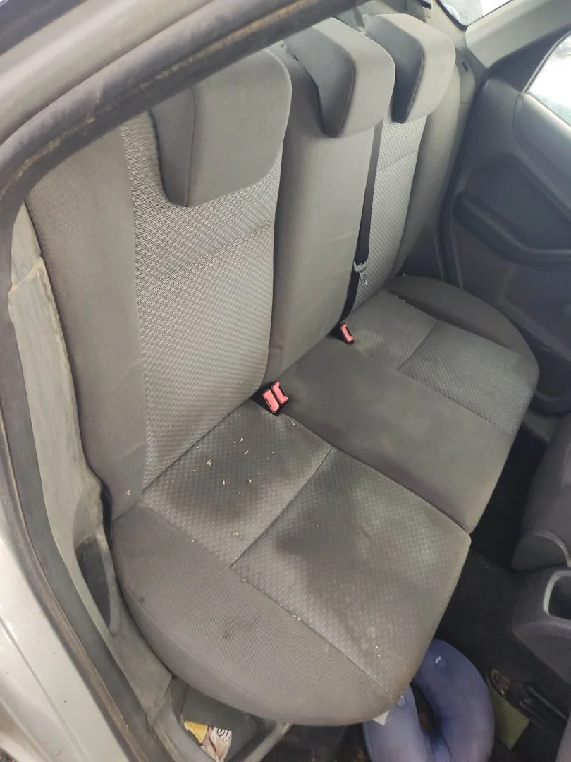 Foto de ASIENTOS TRASERO IZQUIERDO FORD FOCUS BERLINA (CAP) 1.8 Flexifuel CAT (125 CV / 92 KW) referencia 1330598
