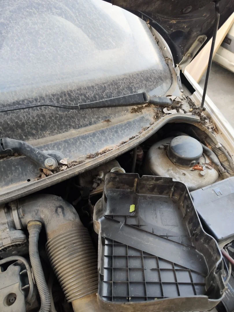 Foto de MOTOR LIMPIA DELANTERO PEUGEOT 206 1.6 16V CAT (109 CV / 80 KW) referencia 6405F8