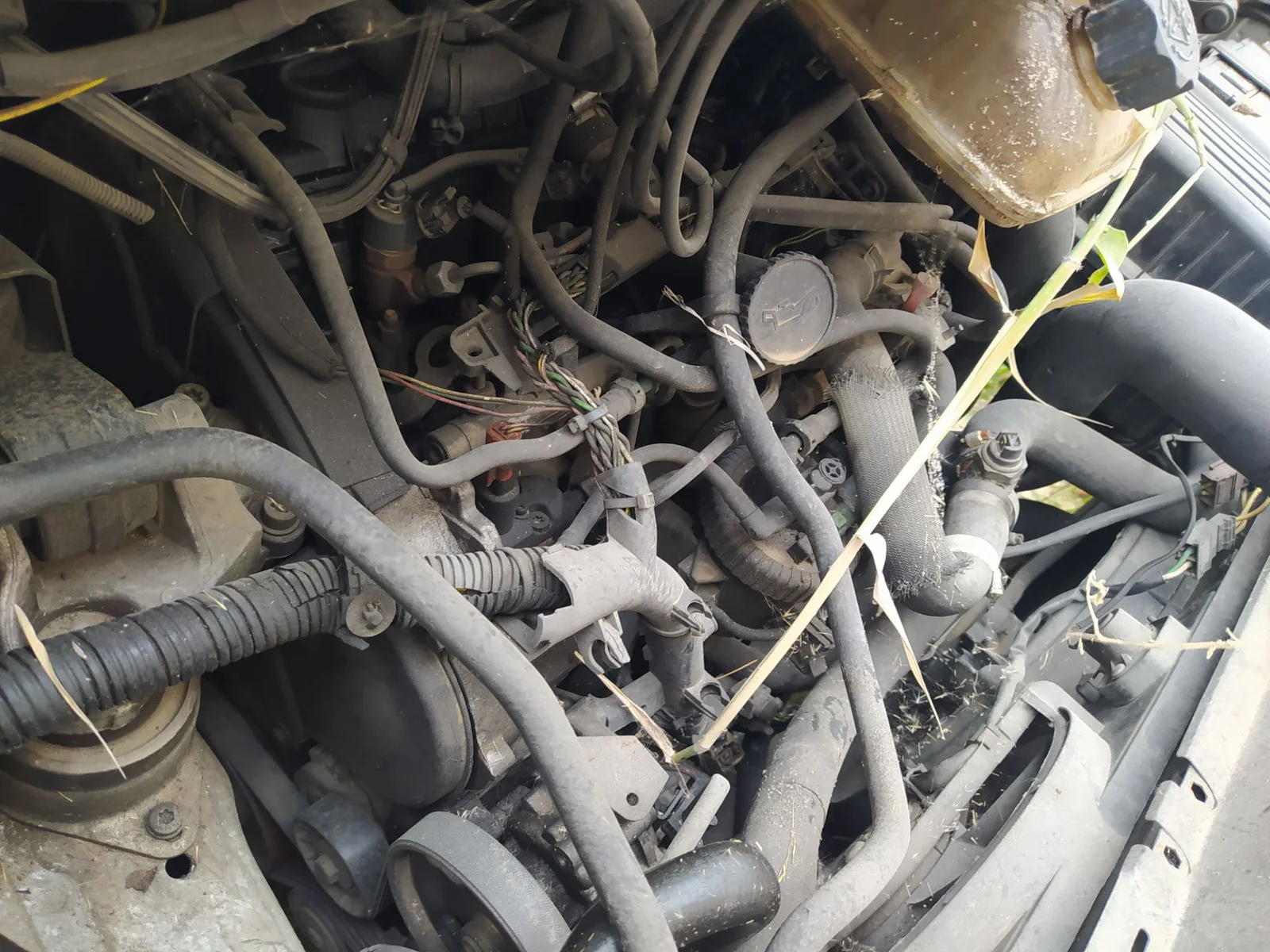 Foto de MOTOR COMPLETO PEUGEOT EXPERT FURGÓN COMFORT (1995) 2.0 HDi (109 CV / 80 KW)