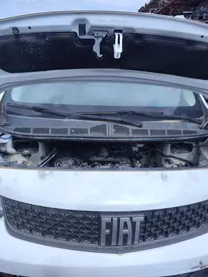 Foto de CERRADURA CAPO FIAT SCUDO (506) FURGON 1.5 (100 CV / 75 KW) referencia 9808870280