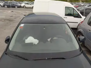 Foto de BRAZO LIMPIA DELANTERO DERECHO AUDI A3 (8P1) 2.0 TDI (140 CV / 103 KW) referencia 8P1955408A foto 1
