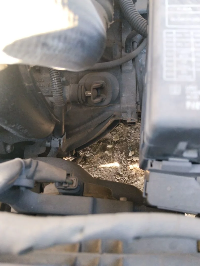 Foto de CAJA CAMBIOS NISSAN ALMERA TINO (V10M) 1.8 16V CAT (114 CV / 84 KW) referencia 320108E069