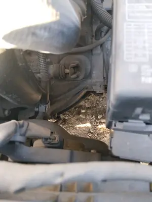 Foto de CAJA CAMBIOS NISSAN ALMERA TINO (V10M) 1.8 16V CAT (114 CV / 84 KW) referencia 320108E069