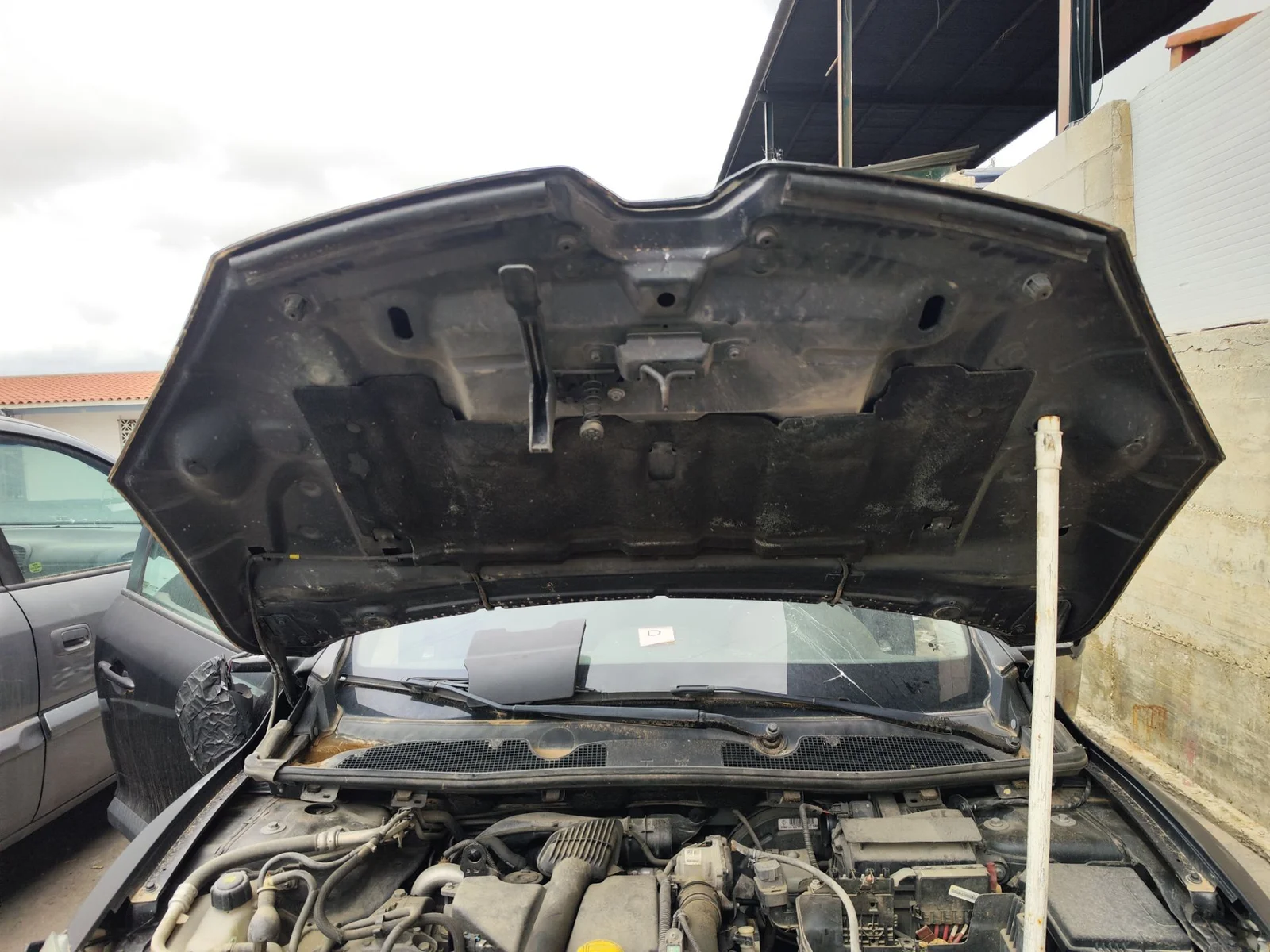 Foto de CAPO RENAULT MEGANE III BERLINA 5P 1.5 dCi Diesel FAP (110 CV / 81 KW) referencia 651002749R