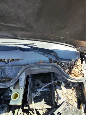Foto de BRAZO LIMPIA DELANTERO IZQUIERDO FORD FOCUS C-MAX (CAP)(2003) 1.6 TDCi CAT (90 CV / 66 KW)