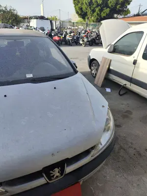 Foto de CAPO PEUGEOT 206 1.6 16V CAT (109 CV / 80 KW) referencia 7901K1 foto 2