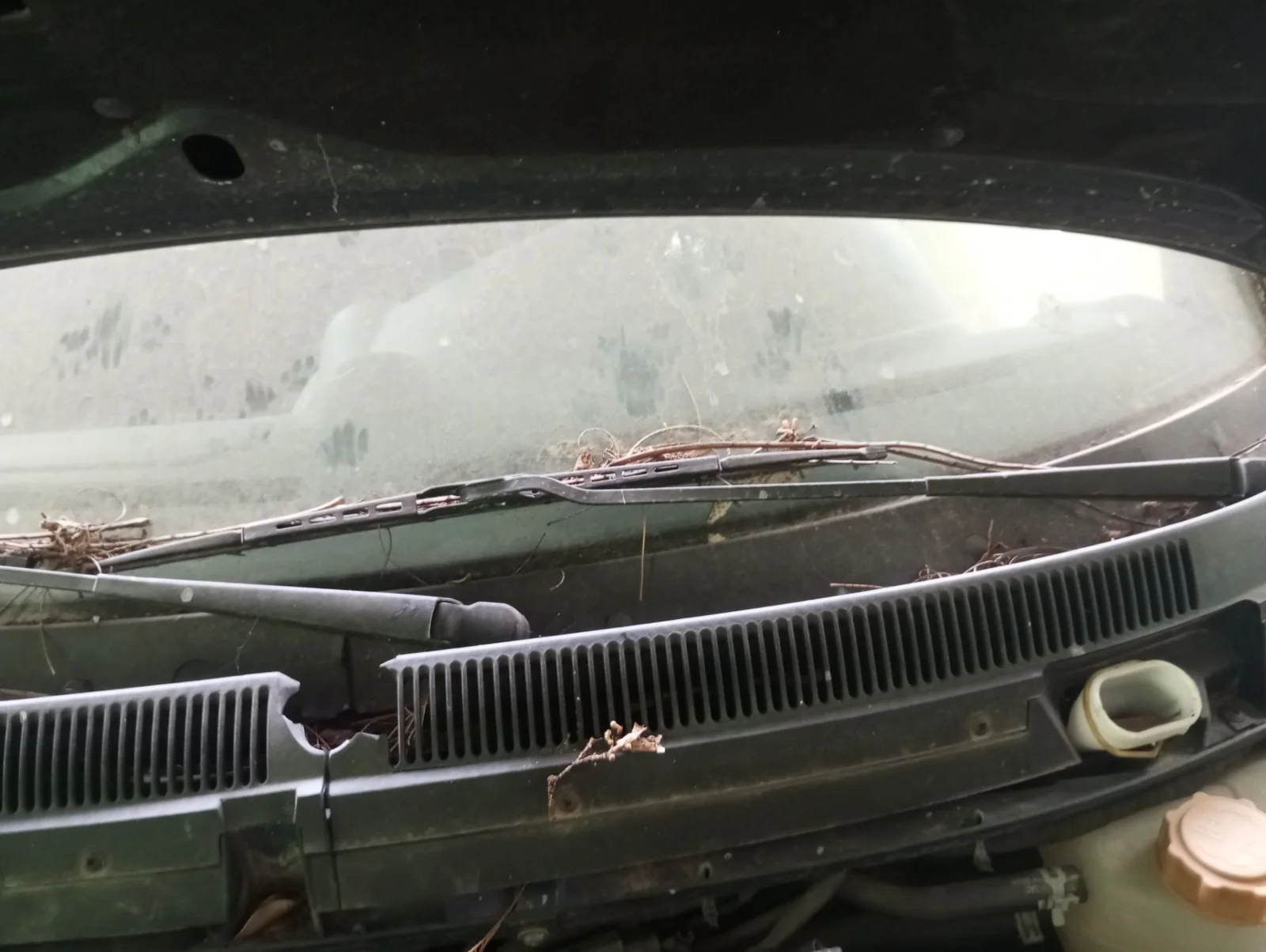 Foto de BRAZO LIMPIA DELANTERO IZQUIERDO FORD KA (CCQ) 1.3 CAT (50 CV / 37 KW) referencia 1559751