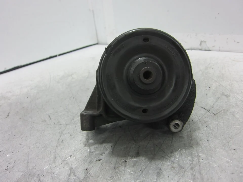 Foto de BOMBA DIRECCION RENAULT SAFRANE (B54) referencia 7846075