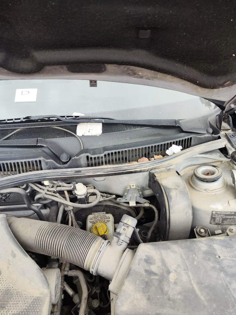 Foto de BRAZO LIMPIA DELANTERO IZQUIERDO VOLKSWAGEN BORA BERLINA (1J2)(1998) 1.9 TDI (110 CV / 81 KW)