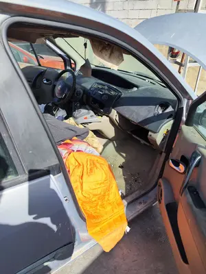 Foto de GOMAS CONTORNO PUERTA RENAULT SCENIC II 1.5 dCi Diesel (101 CV / 74 KW)