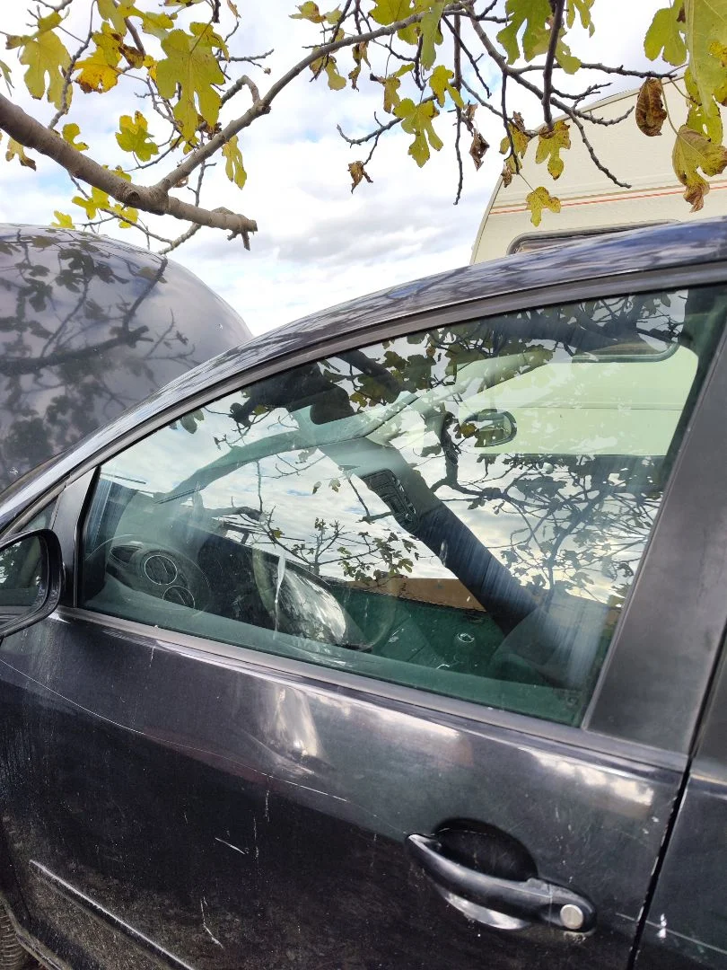 Foto de LUNA DELANTERA IZQUIERDA VOLKSWAGEN GOLF PLUS V (5M1) 1.9 TDI (105 CV / 77 KW)