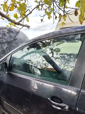 Foto de LUNA DELANTERA IZQUIERDA VOLKSWAGEN GOLF PLUS V (5M1) 1.9 TDI (105 CV / 77 KW)