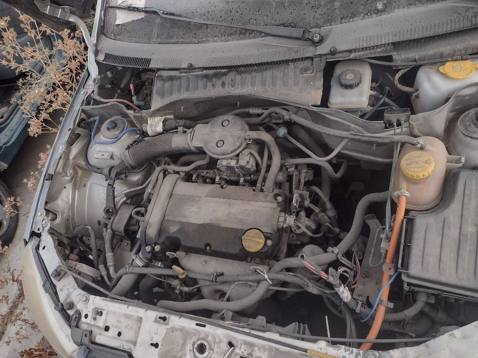 Foto de MOTOR LIMPIA DELANTERO OPEL CORSA C 1.2 16V CAT (Z 12 XE / LW4) (75 CV / 55 KW) referencia 24441422