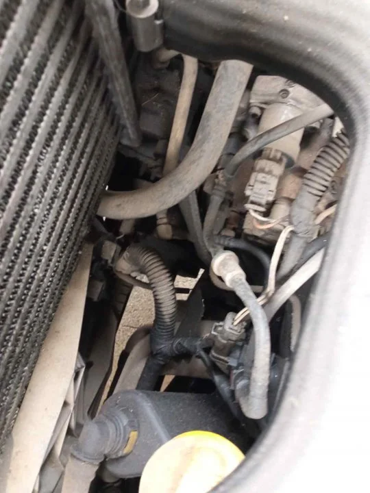Foto de ALTERNADOR NISSAN PRIMASTAR (X83) 1.9 dCi Diesel CAT (101 CV / 74 KW) referencia 746001
