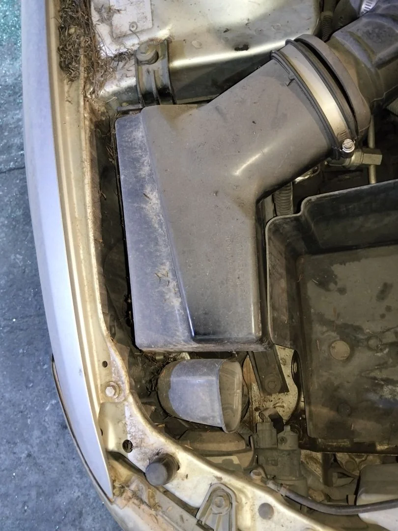 Foto de CAJA FILTRO AIRE HONDA ACCORD BERLINA (CG7-9/CH1-7)