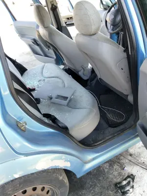 Foto de GOMAS CONTORNO PUERTA CITROEN C3 1.4 HDi (68 CV / 50 KW)
