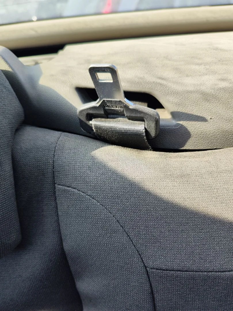 Foto de CINTURON SEGURIDAD TRASERO DERECHO FORD FOCUS CABRIO (CA5) 2.0 TDCi CAT (136 CV / 100 KW)