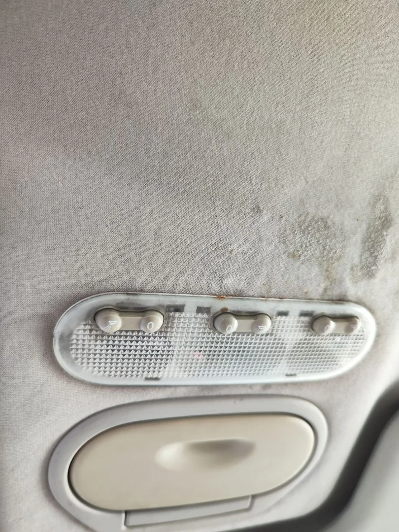 Foto de LUZ INTERIOR RENAULT SCENIC II (JM) 1.9 dCi Diesel (120 CV / 88 KW) referencia 264306391R