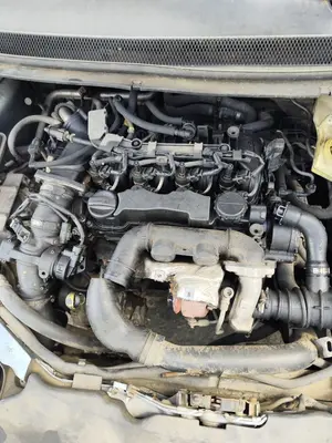 Foto de MOTOR COMPLETO FORD FOCUS BERLINA (CAP) 1.6 TDCi CAT (90 CV / 66 KW) referencia 1699880 foto 2