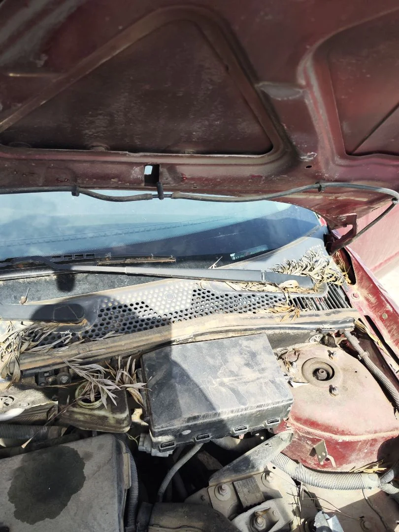Foto de BRAZO LIMPIA DELANTERO IZQUIERDO FORD FOCUS BERLINA (CAK) 1.6 16V CAT (101 CV / 74 KW)