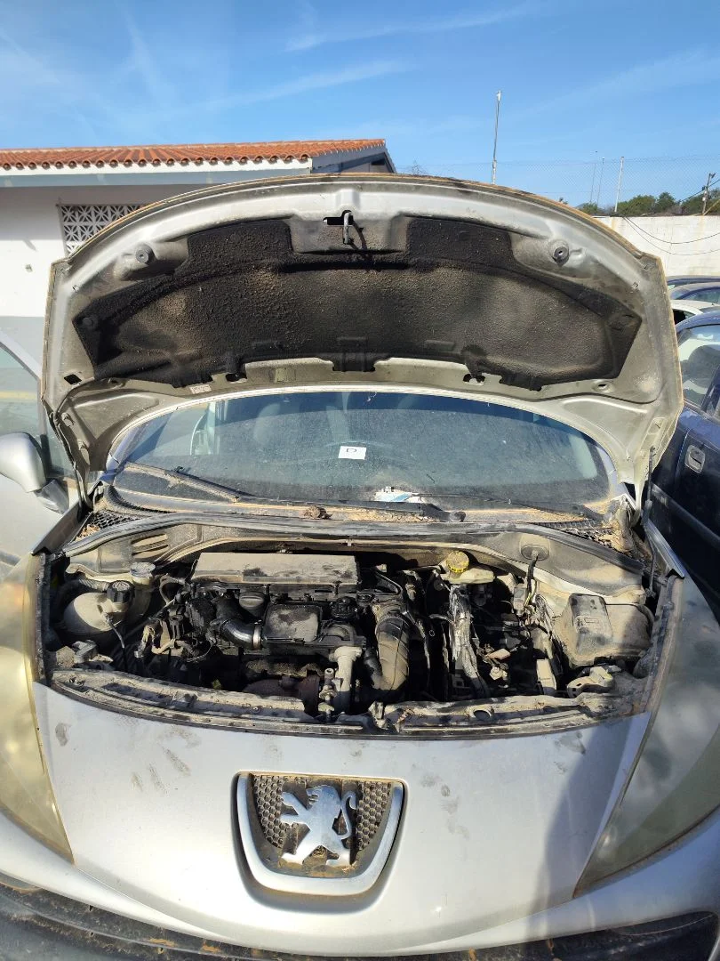 Foto de CAPO PEUGEOT 207 1.4 HDi (68 CV / 50 KW) referencia 7901N2