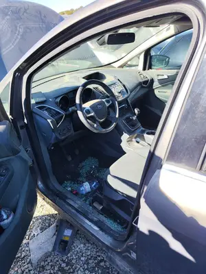 Foto de GOMAS CONTORNO PUERTA FORD C-MAX (CB7) 1.6 TDCi CAT (116 CV / 85 KW)