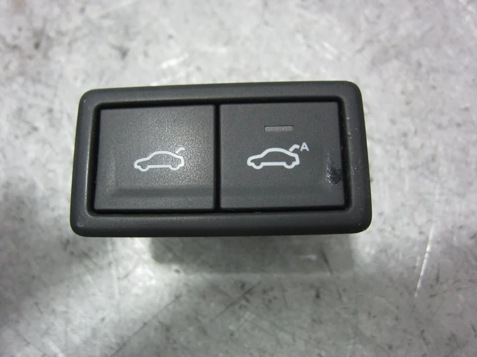 Foto de INTERRUPTOR VOLKSWAGEN TIGUAN (AD1) 2.0 TDI DPF (239 CV / 176 KW) referencia 3G0959832A