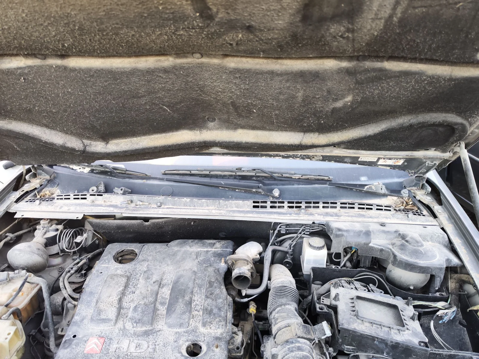Foto de TORPEDO CITROEN C5 BERLINA 2.0 HDi (109 CV / 80 KW)