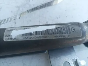 Foto de AIRBAG CORTINA DELANTERO IZQUIERDO PEUGEOT 407 2.0 16V HDi FAP CAT (RHR / DW10BTED4) (136 CV / 100 KW) referencia 9660989380 foto 4