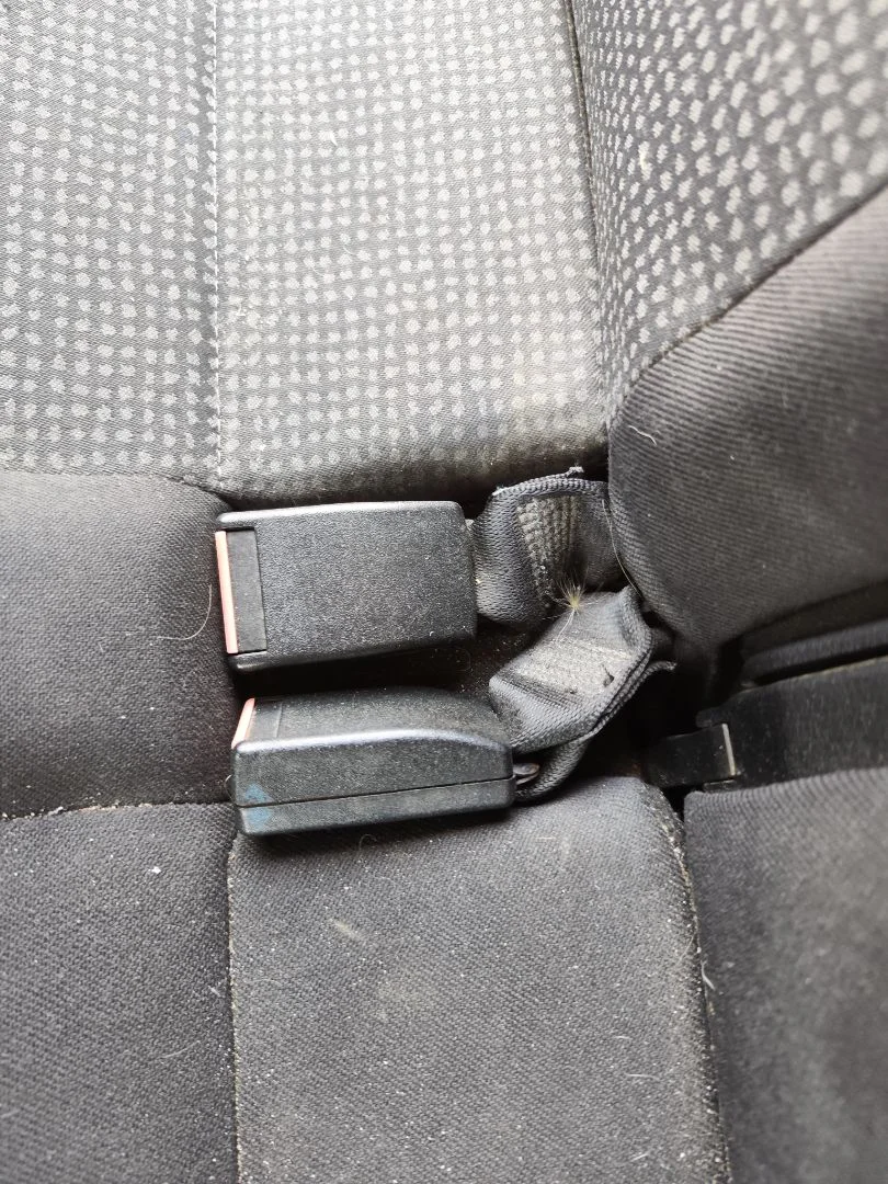 Foto de ENGANCHE CINTURON TRASERO DERECHO OPEL ZAFIRA A 1.6 16V (101 CV / 74 KW)