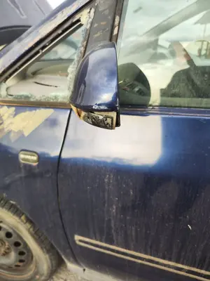 Foto de RETROVISOR IZQUIERDO VOLKSWAGEN SHARAN (7M6/7M9) 1.9 TDI (116 CV / 85 KW) foto 3