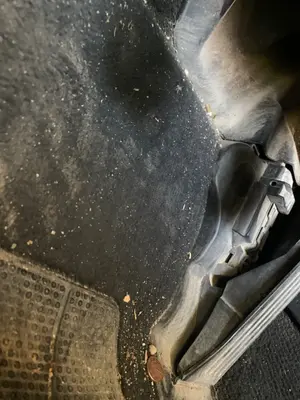Foto de POTENCIOMETRO PEDAL VOLKSWAGEN PASSAT VARIANT (3C5) 2.0 TDI (140 CV / 103 KW)