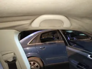Foto de ASIDERO TECHO DELANTERO IZQUIERDO VOLKSWAGEN POLO IV (9N1)