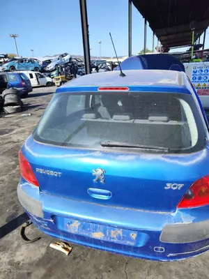 Foto de PORTON TRASERO PEUGEOT 307 (S1)(04.2001) 1.6 16V CAT (109 CV / 80 KW) referencia 8701S5