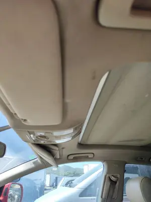 Foto de TECHO INTERIOR AUDI Q7 (4L) 3.0 V6 24V TDI (233 CV / 171 KW) referencia 4L0867505AAK23